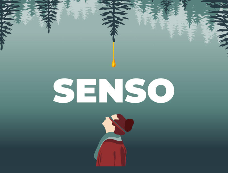 Ecco Senso, il gioco di carte ambientato in Trentino